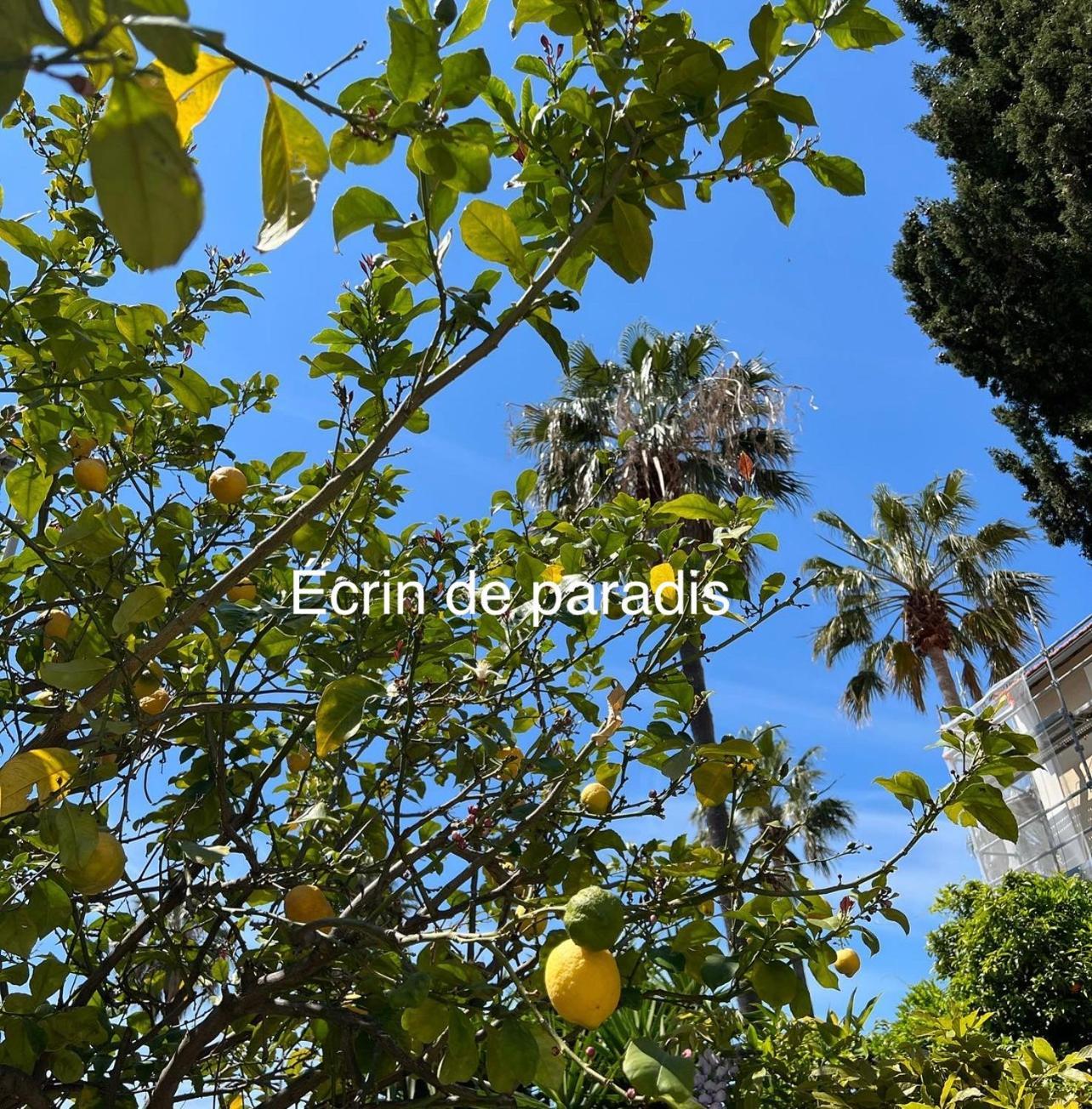 Casa Andrea Appartement Tout A Pied Avec Grand Jardin ซานารี-ซูร์-แมร์ ภายนอก รูปภาพ